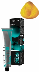 ABSOLUK 100ml, перманентная краска для волос, тон   0.3  yellow