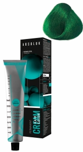 ABSOLUK 100ml, перманентная краска для волос, тон   0.31  green