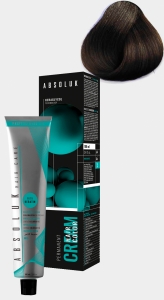 ABSOLUK 100ml, перманентная краска для волос, тон   6.0I  dark ice blonde