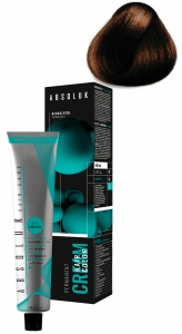 ABSOLUK 100ml, перманентная краска для волос, тон   6.31  dark ash golden blonde