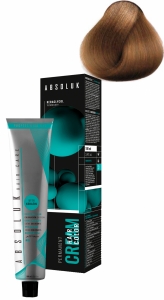 ABSOLUK 100ml, перманентная краска для волос, тон   8.82  light iridescent brown blonde